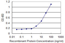 AKT1 Antibody in ELISA (ELISA)