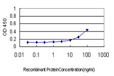 AKT1 Antibody in ELISA (ELISA)