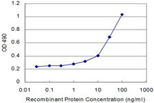 AKT1 Antibody in ELISA (ELISA)