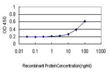 AKT1 Antibody in ELISA (ELISA)