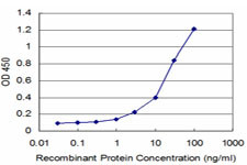 AKT2 Antibody in ELISA (ELISA)