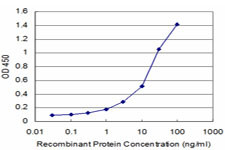 AKT2 Antibody in ELISA (ELISA)