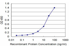 AKT2 Antibody in ELISA (ELISA)