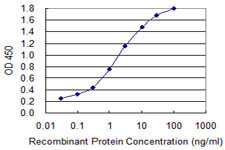 ALAS1 Antibody in ELISA (ELISA)