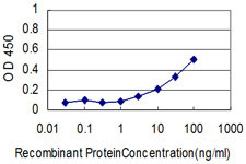 ALB Antibody in ELISA (ELISA)