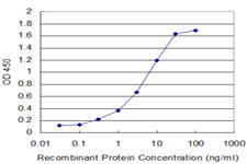 ALOX12 Antibody in ELISA (ELISA)