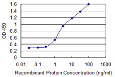 ALPI Antibody in ELISA (ELISA)