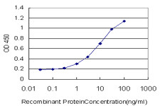 AMBP Antibody in ELISA (ELISA)