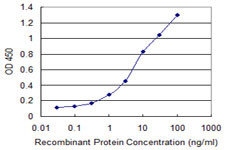 ANPEP Antibody in ELISA (ELISA)