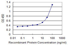 ANXA1 Antibody in ELISA (ELISA)