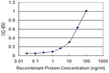 NUDT2 Antibody in ELISA (ELISA)