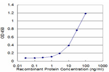 APCS Antibody in ELISA (ELISA)