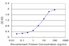 FAS Antibody in ELISA (ELISA)