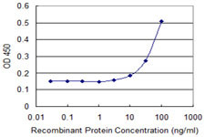 FAS Antibody in ELISA (ELISA)