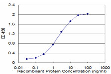 FAS Antibody in ELISA (ELISA)