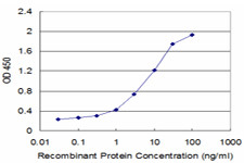 FAS Antibody in ELISA (ELISA)