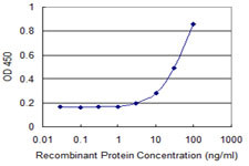 FAS Antibody in ELISA (ELISA)