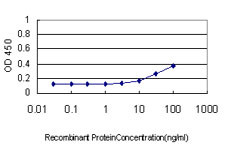 FASLG Antibody in ELISA (ELISA)