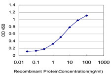 ARAF Antibody in ELISA (ELISA)