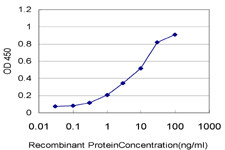 ARAF Antibody in ELISA (ELISA)