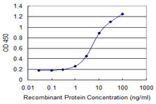 AREG Antibody in ELISA (ELISA)