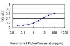 ARF5 Antibody in ELISA (ELISA)