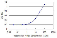 ARG2 Antibody in ELISA (ELISA)