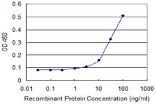 RHOC Antibody in ELISA (ELISA)