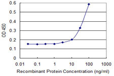 RHOC Antibody in ELISA (ELISA)