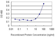 ARHGDIG Antibody in ELISA (ELISA)