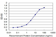 ZFHX3 Antibody in ELISA (ELISA)