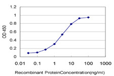 ATOX1 Antibody in ELISA (ELISA)