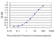 ATOX1 Antibody in ELISA (ELISA)