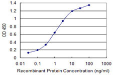 ATP2A1 Antibody in ELISA (ELISA)