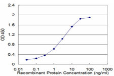 ATP4B Antibody in ELISA (ELISA)