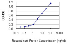 ATP6AP1 Antibody in ELISA (ELISA)