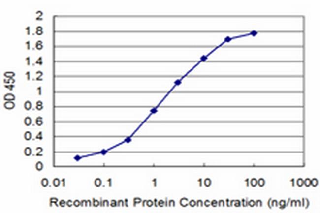 ATP7B Antibody in ELISA (ELISA)