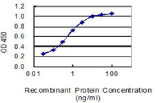 AVP Antibody in ELISA (ELISA)