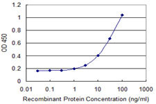 AXL Antibody in ELISA (ELISA)