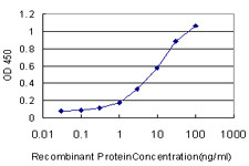 BAAT Antibody in ELISA (ELISA)