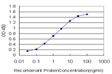 BACH1 Antibody in ELISA (ELISA)