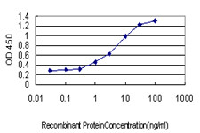 BAG1 Antibody in ELISA (ELISA)