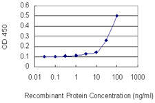 BCL2L2 Antibody in ELISA (ELISA)