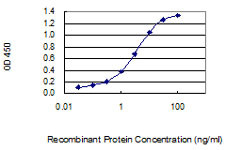 BGN Antibody in ELISA (ELISA)