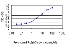 CEACAM1 Antibody in ELISA (ELISA)