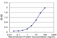 CEACAM1 Antibody in ELISA (ELISA)