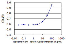 CEACAM1 Antibody in ELISA (ELISA)