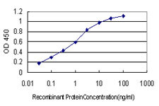 BID Antibody in ELISA (ELISA)