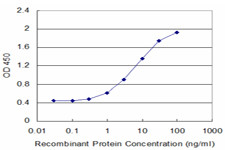 BID Antibody in ELISA (ELISA)