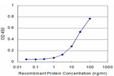 PRDM1 Antibody in ELISA (ELISA)